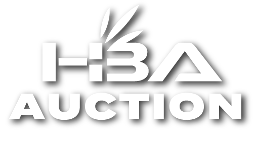 HBAオークション